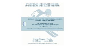 STRUMENTI PER LA GESTIONE DELLA SICUREZZA DI STRADE E PONTI IN MONTAGNA